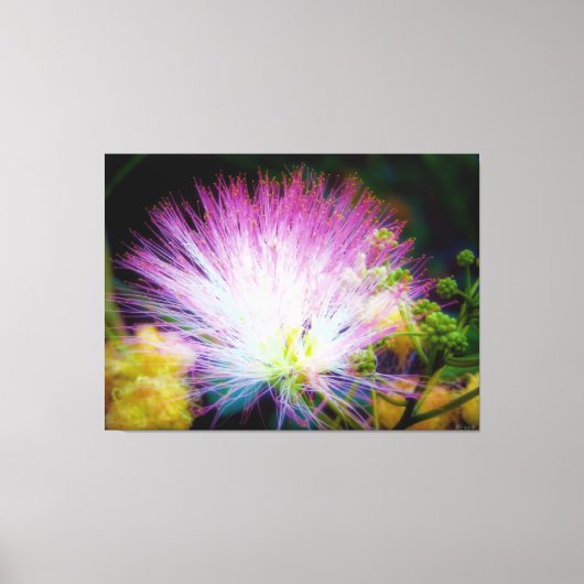 Toile Fleur de mimosa rose vibrant (Recto)