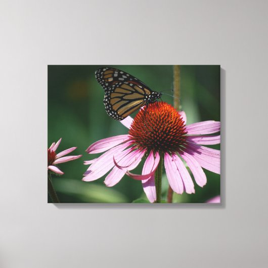 Toile Fleur de papillon et de cône pourpre (Recto)