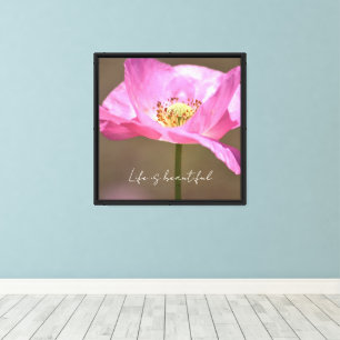 Toile Fleur de pavot d'Islande rose (photographie par mo