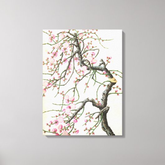Toile Fleur de pêche (couleur sur papier) (Recto)