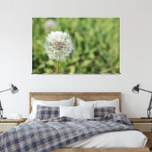 Toile Fleur de pissenlit blanc sur herbe verte (Insitu(Chambre))