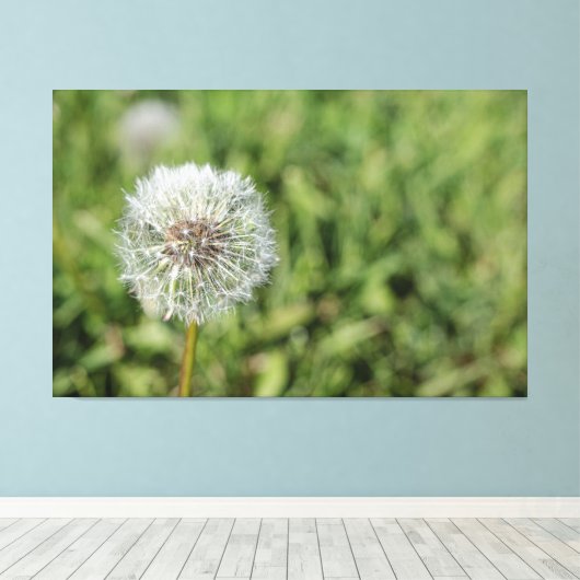 Toile Fleur de pissenlit blanc sur herbe verte (Insitu (Plancher de Bois))
