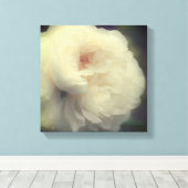 Toile Fleur de rose blanche en fleurs (Insitu (Plancher de Bois))