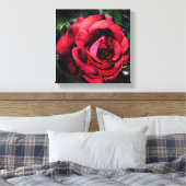 Toile Fleur de rose rouge en fleurs Abstrait (Insitu(Chambre))