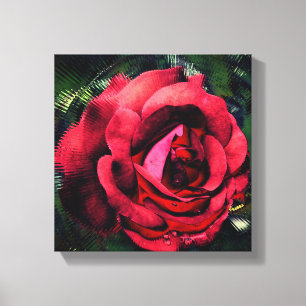 Toile Fleur de rose rouge en fleurs Abstrait