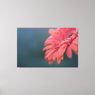 Toile Fleur de rouge de Gerbera