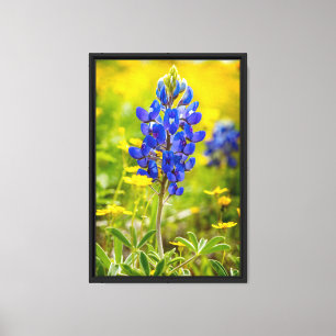 Toile Fleur de Texas Bluebonnet avec Jaune