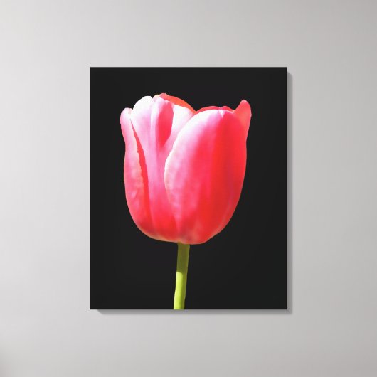 Toile Fleur de Tulipe Élégante (Recto)