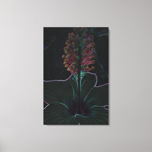 Toile fleur de velours (Recto)