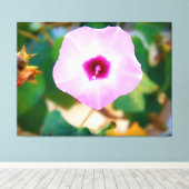 Toile Fleur de volubilis rose (Insitu (Plancher de Bois))