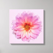 Toile Fleur de Zinnia rose (Recto)