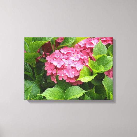 Toile Fleur d'hortensia rose foncé (Recto)