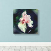 Toile Fleur d'Iris à Barbe Rose Art (Insitu (Plancher de Bois))