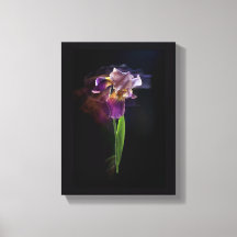 Fleur d'iris abstraite – Art floral élégant