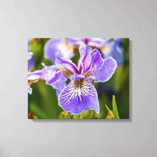 Toile Fleur d'Iris Pourpre (Recto)