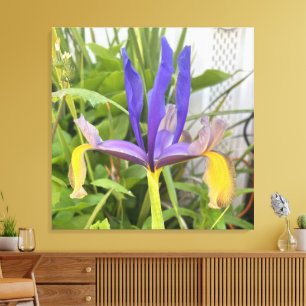 Toile Fleur d'Iris Violet Photo de Jardin de Plein Air N