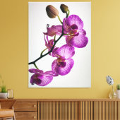 Toile Fleur d'orchidée pourpre (Insitu(Salon))