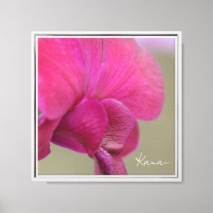 Toile Fleur d'orchidée rose Kauai (photographie prise pa