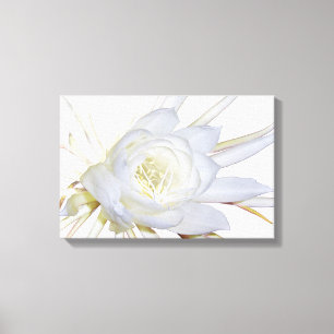 Toile Fleur en fleurs la nuit blanche