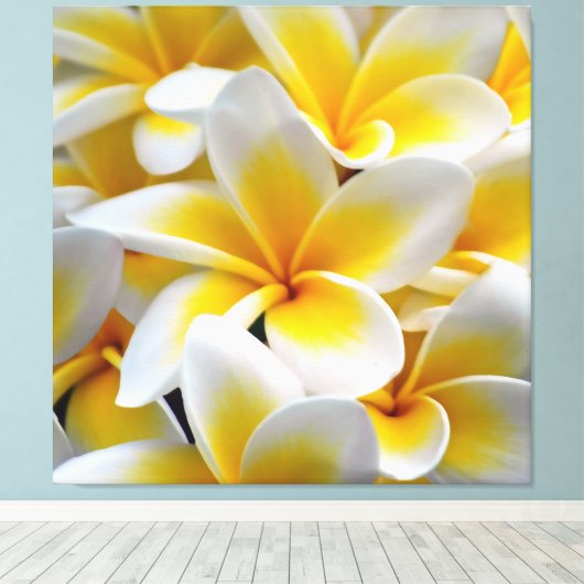 Toile Fleur Frangipani Plumeria (Insitu (Plancher de Bois))