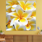 Toile Fleur Frangipani Plumeria (Insitu(Salon))