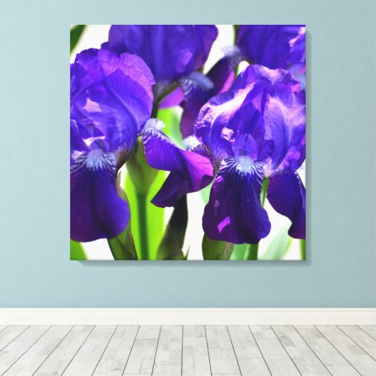 Toile Fleur Iris Iris Violet (Insitu (Plancher de Bois))