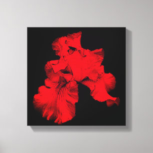 Toile Fleur Iris rouge à chaud Abstraite