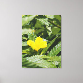 Toile Fleur jaune audacieuse parmi les feuilles vertes