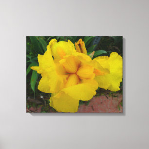 Toile Fleur Jaune Iris