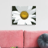 Toile Fleur marguerite blanche et jaune (Insitu(Salon))