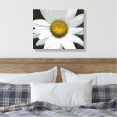 Toile Fleur marguerite blanche et jaune (Insitu(Chambre))