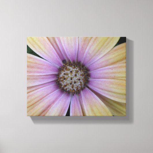 Toile Fleur marguerite violette et jaune (Recto)
