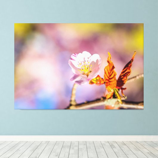 Toile Fleur mignonne Sakura (Insitu (Plancher de Bois))
