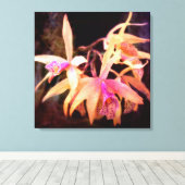 Toile Fleur - Orchidée - Laelia - Passion de minuit (Insitu (Plancher de Bois))