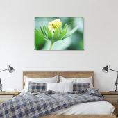 Toile Fleur Ouverte De Cone Flower (Insitu(Chambre))