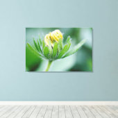 Toile Fleur Ouverte De Cone Flower (Insitu (Plancher de Bois))