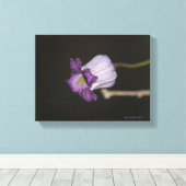 Toile Fleur pourpre (Insitu (Plancher de Bois))