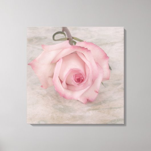 Toile Fleur rose douce (Recto)