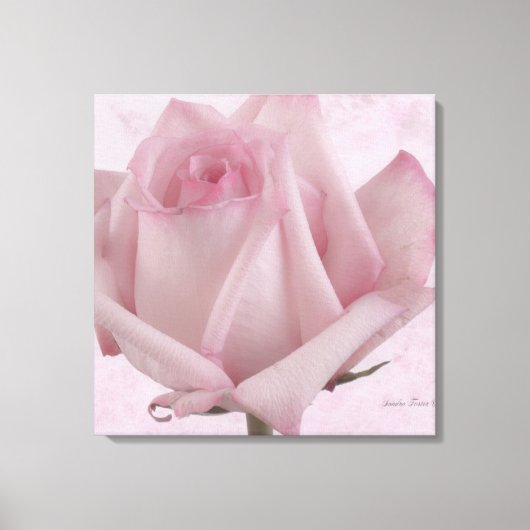Toile Fleur rose douce (Recto)