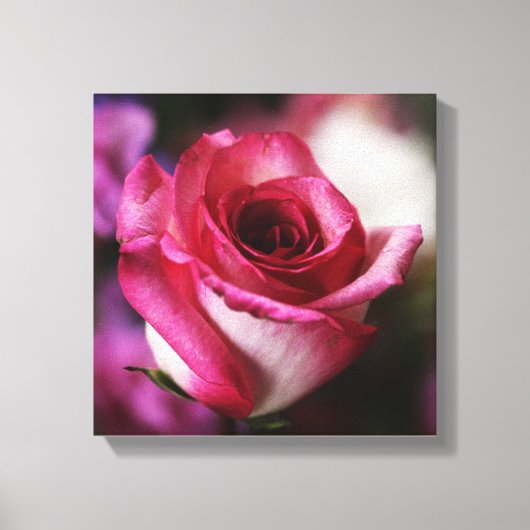 Toile Fleur rose rose (Recto)