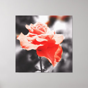 Toile Fleur Rose vintage