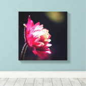 Toile Fleur Rouge Au Soleil Près (Insitu (Plancher de Bois))