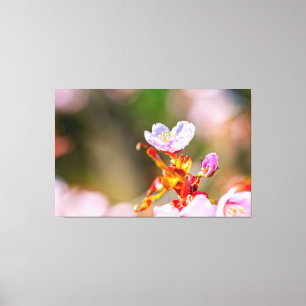 Toile Fleur Sakura Rose Exceptionnelle Au Printemps