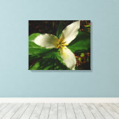 Toile Fleur sauvage de printemps blanc Trillium Flower (Insitu (Plancher de Bois))