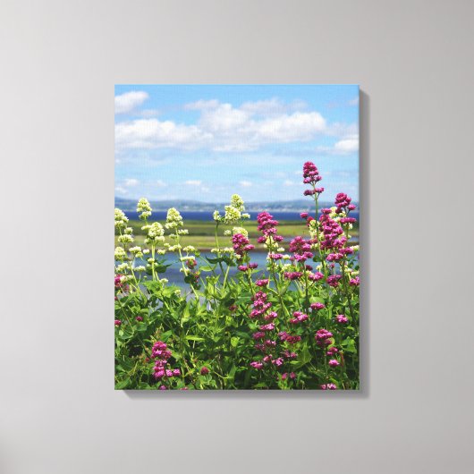 Toile Fleur sauvage en Irlande (Recto)