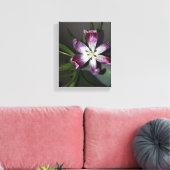 Toile Fleur Tulip (Insitu(Salon))