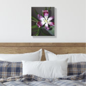Toile Fleur Tulip (Insitu(Chambre))