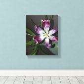 Toile Fleur Tulip (Insitu (Plancher de Bois))