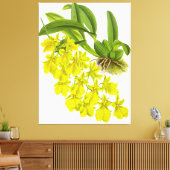 Toile Fleur vintage d'orchidée jaune (Insitu(Salon))