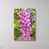 Toile Fleur Wisteria (Recto)